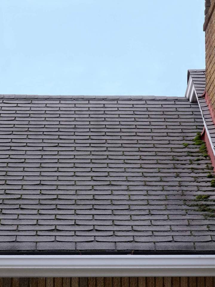 Nettoyage et démoussage de toit Bas-Rhin